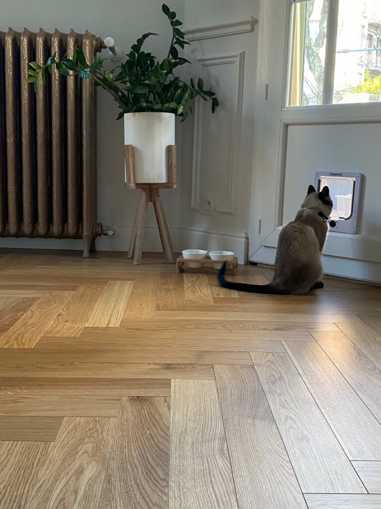 Concept Habitat 06 Renovation Hotel Et Villa Haut De Gamme NICE IMG 0310